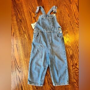 Zara Denim Overalls with Pink & Purple Floral Straps